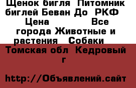 Щенок бигля. Питомник биглей Беван-До (РКФ) › Цена ­ 20 000 - Все города Животные и растения » Собаки   . Томская обл.,Кедровый г.